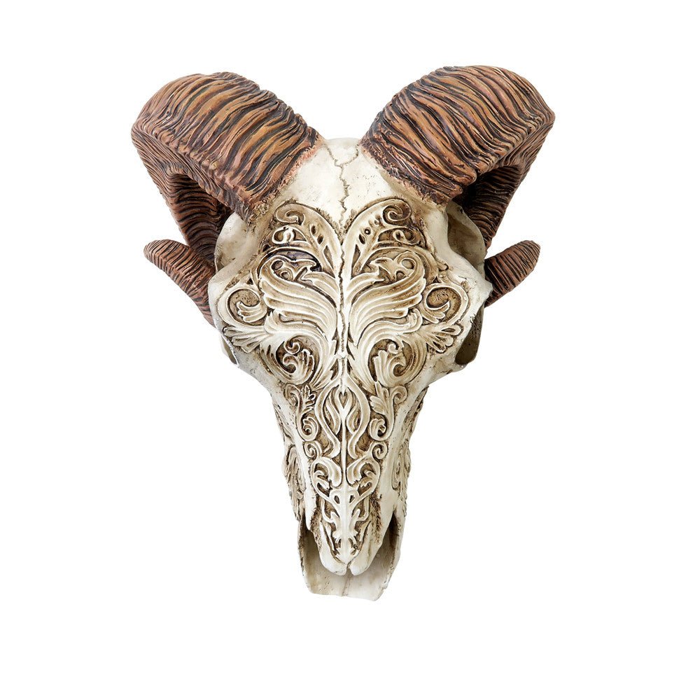 Scrimshaw Ram Skull
